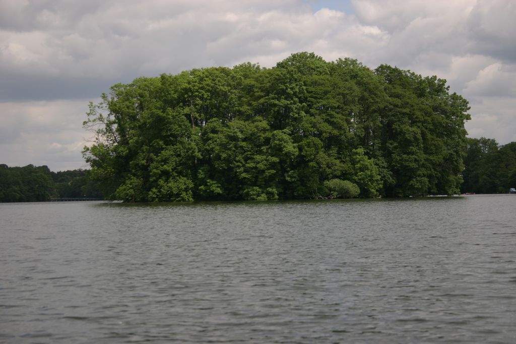 mała wyspa na jeziorze Lubiąż